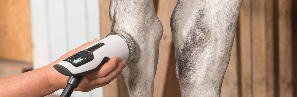 ESWT – Extracorporeal Shock Wave Therapy for Veterinary